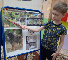 День собак День собак.