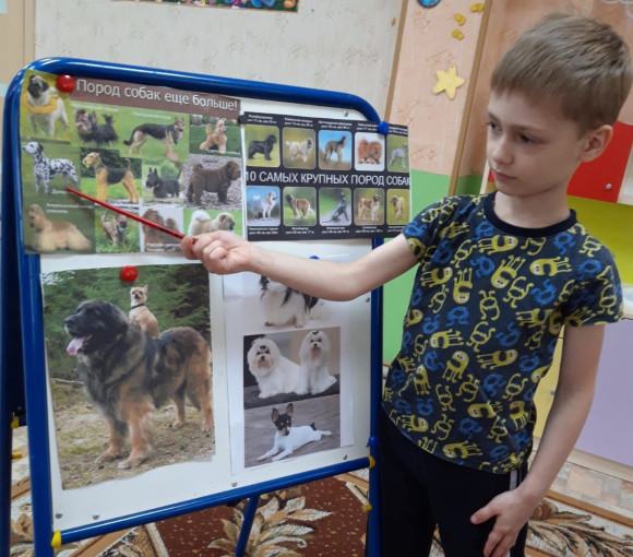 День собак День собак.